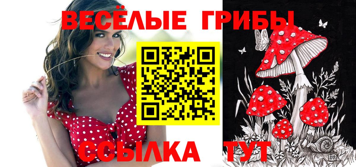 Галлюциногенные грибы ЛСД Березники