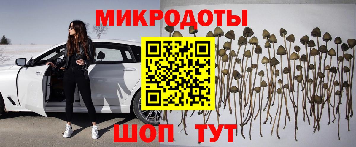 Галлюциногенные грибы мухоморы  Вход с VPN  Березники 